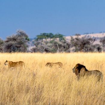 China-Africa, by Sea