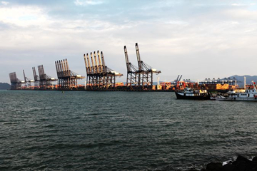 China's weekly export container shipping index declines 2.6pc